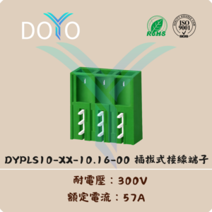 DYPLS10-XX-10.16-00